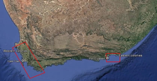 BirdLife-map-colonies