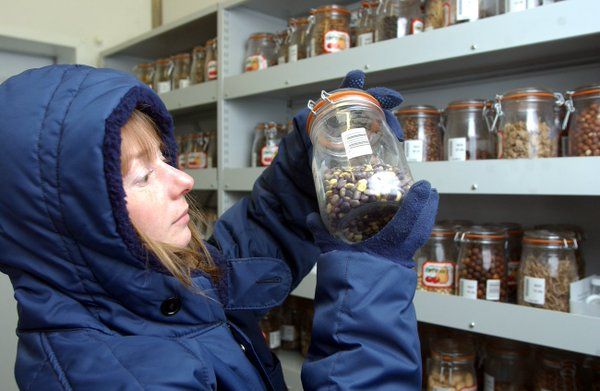 madagascar seed bank