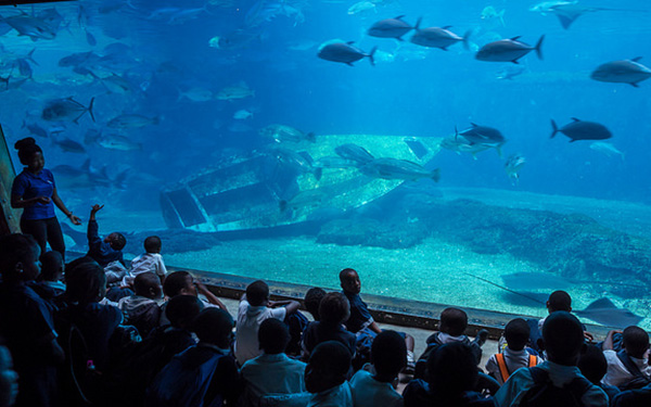 ushaka_kids_art_embed