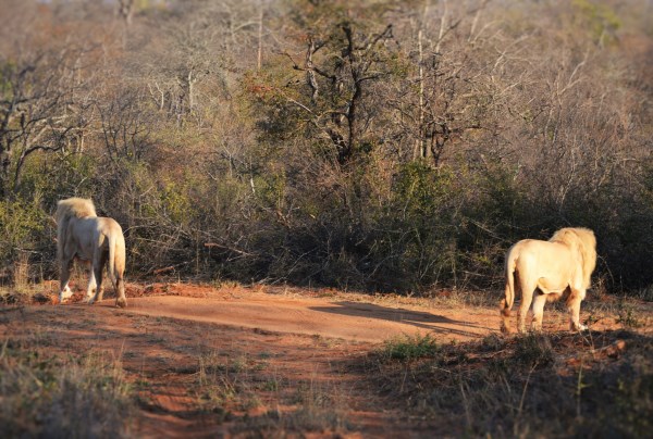 ????????????????????????????????????