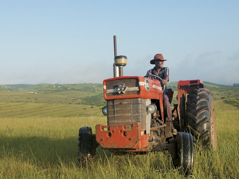 rural farmers buhle farmers academy