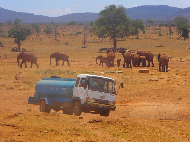 Patrick Mwalua, Kenya, Tsavo West National Park, conservation, water trucks, drought