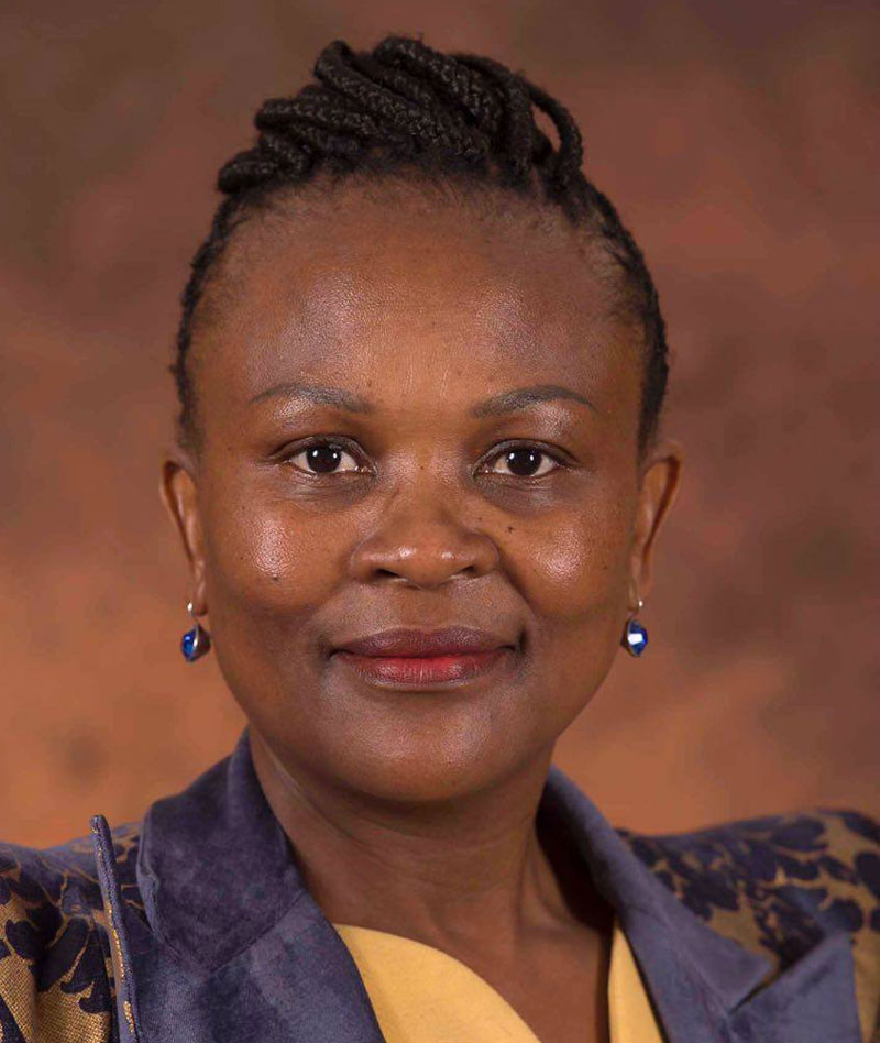 Public Protector