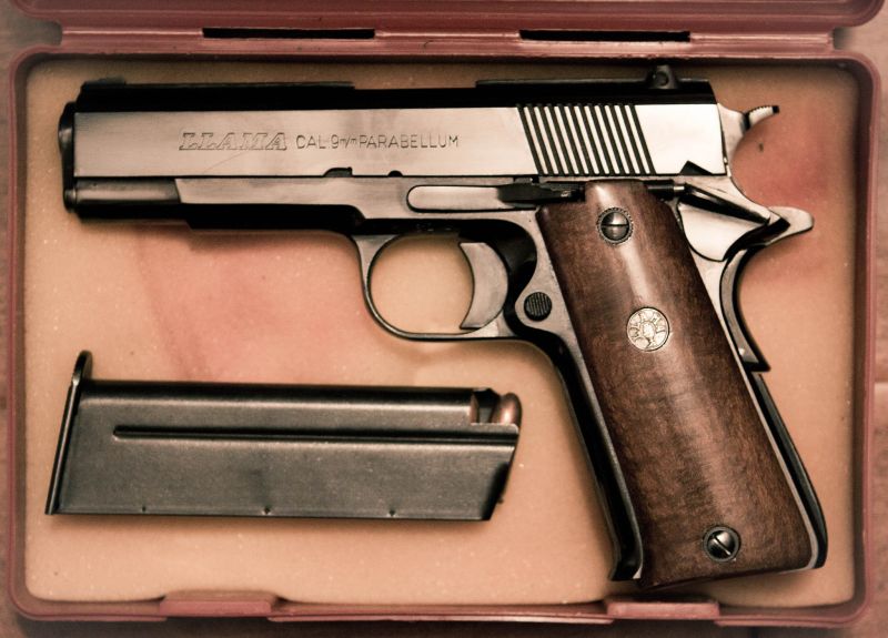 Pistorius gun ownership