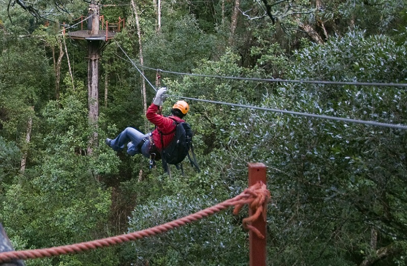 tourism sme development travel