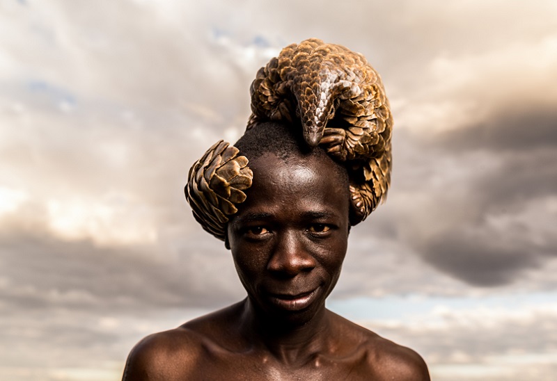Zimbabwe protectors pangolin
