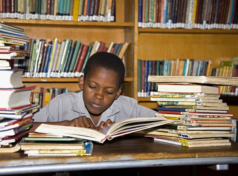 Rhodes University book intsomi family