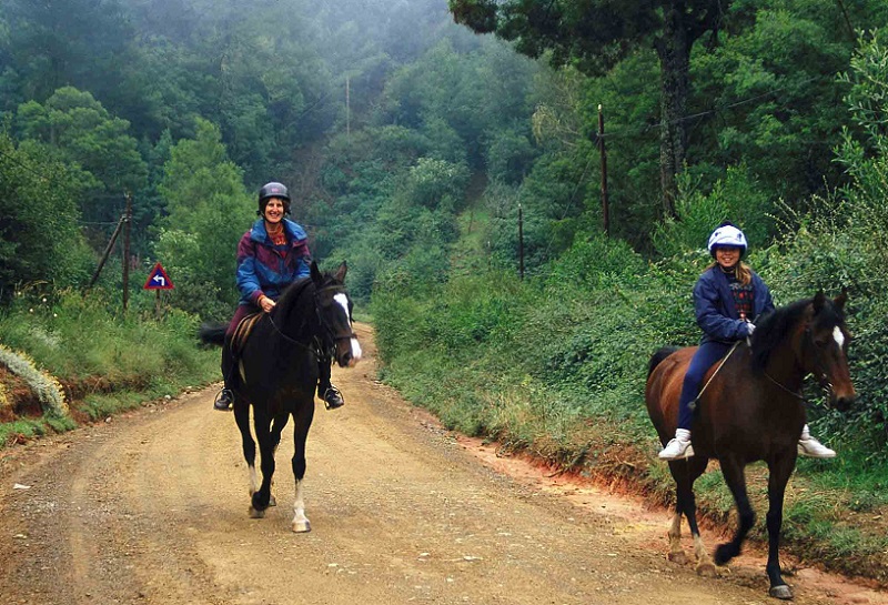 horseback safaris south africa