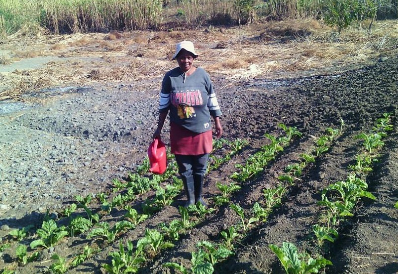 AgriHUB small scale farmers KwaZulu-Natal 
