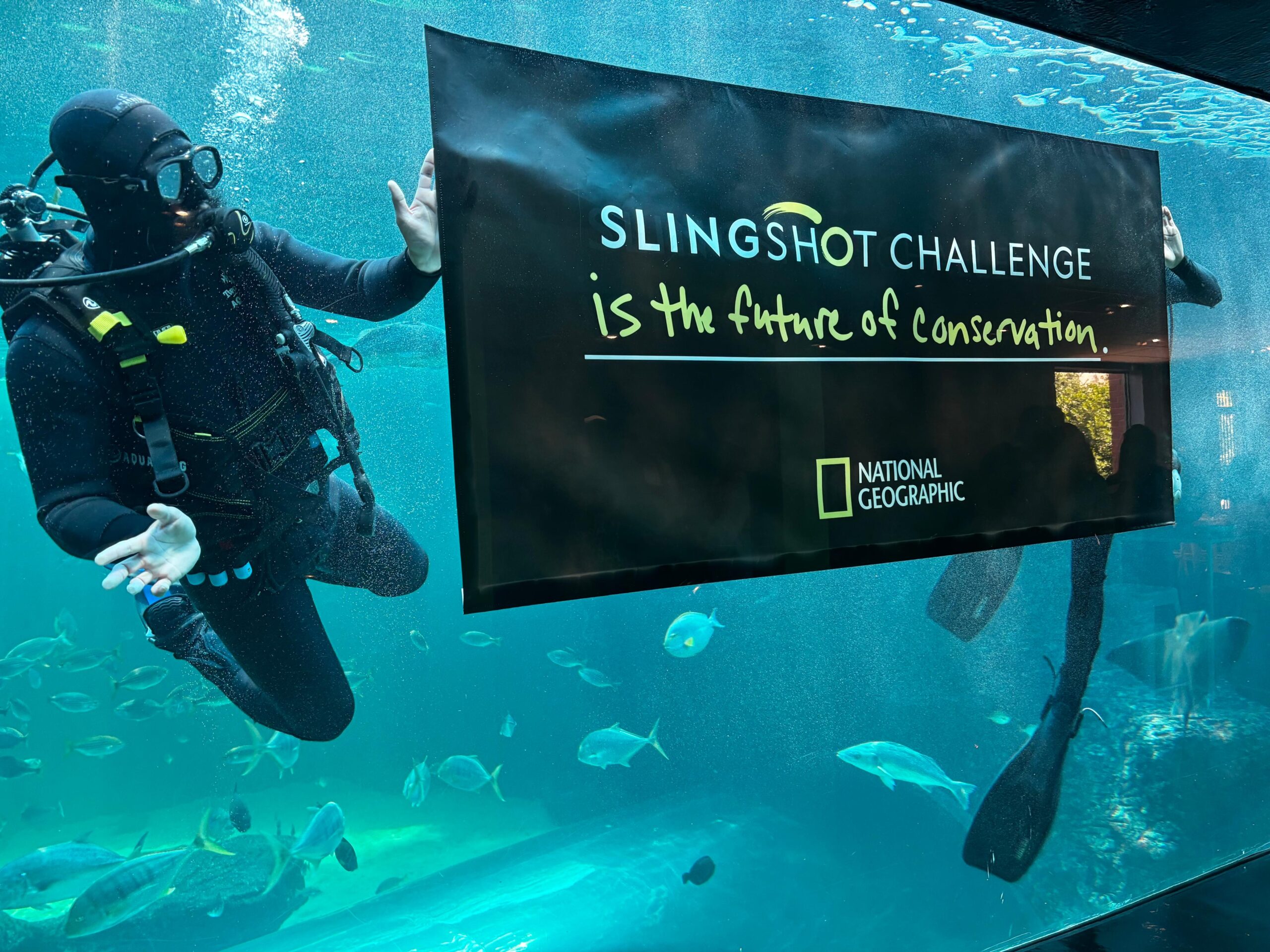 A scuba diver underwater, proudly displaying a National Geographic banner for the Earth Shot Prize. The scene is alive with vibrant marine life, highlighting the importance of conservation efforts in South Africa.