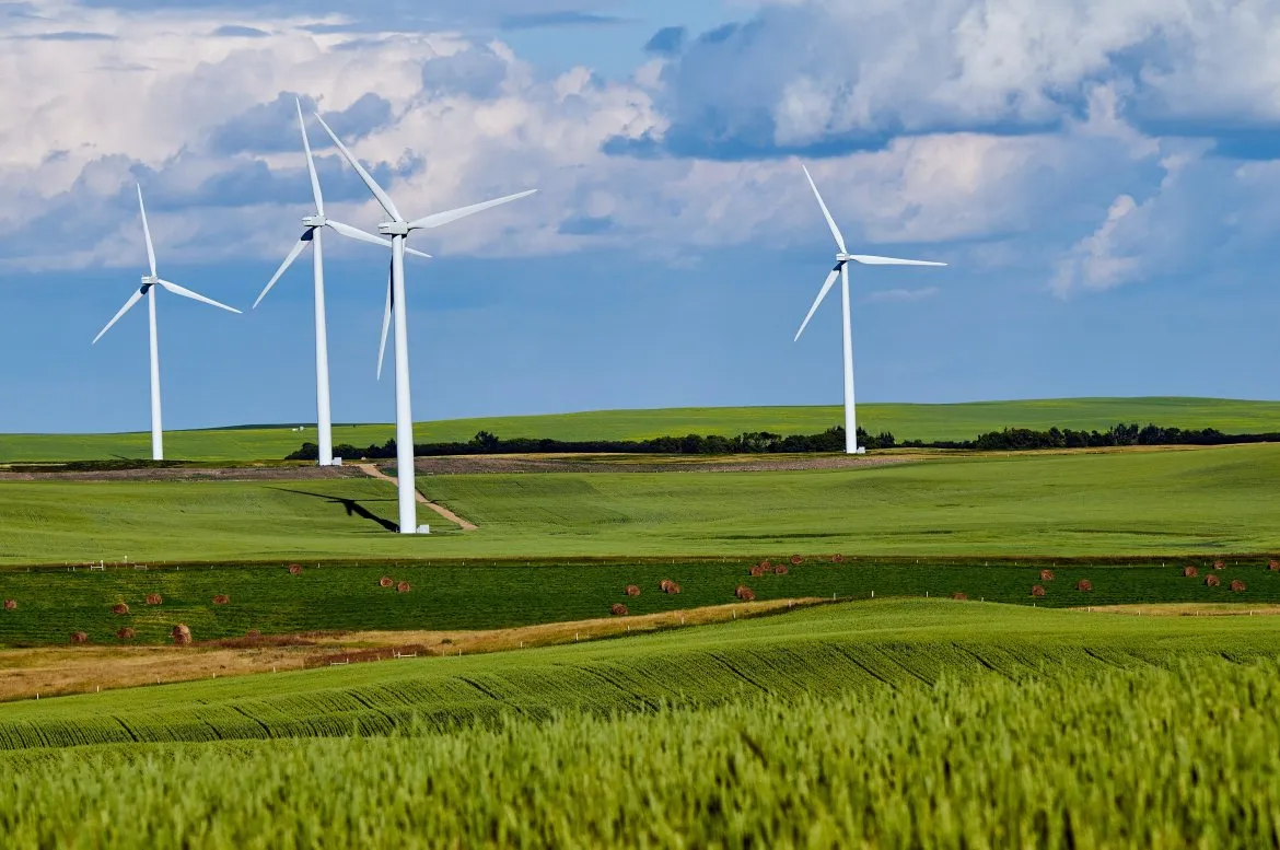 Wind turbines in a lush green landscape, representing South Africa’s transition to renewable energy and sustainable development.