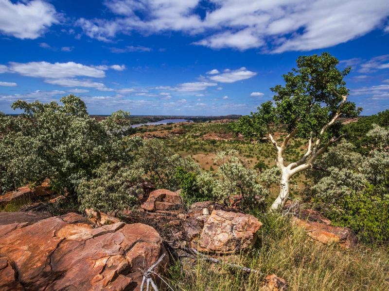 A scenic view of Limpopo, South Africa, featuring rocky terrain, lush green vegetation, and a bright blue sky with scattered clouds. In the distance, a river or lake winds through the landscape, adding depth to the natural beauty of the region.